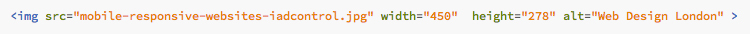 HTML Alt Tag Example